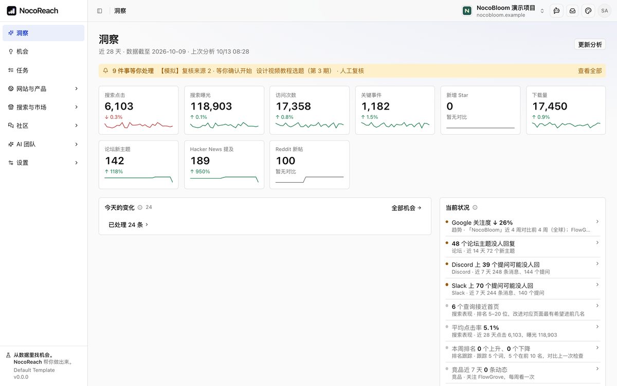 NocoReach insights